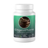 DigestPlant