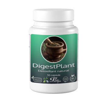 DigestPlant