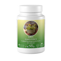 Mix Gastro