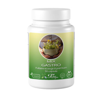 Mix Gastro